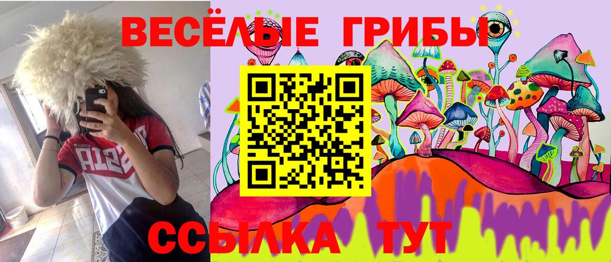 Псилоцибиновые грибы мицелий  Псилоцибиновые грибы мицелий  Вход с VPN  Черняховск 